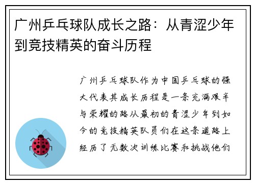 广州乒乓球队成长之路：从青涩少年到竞技精英的奋斗历程